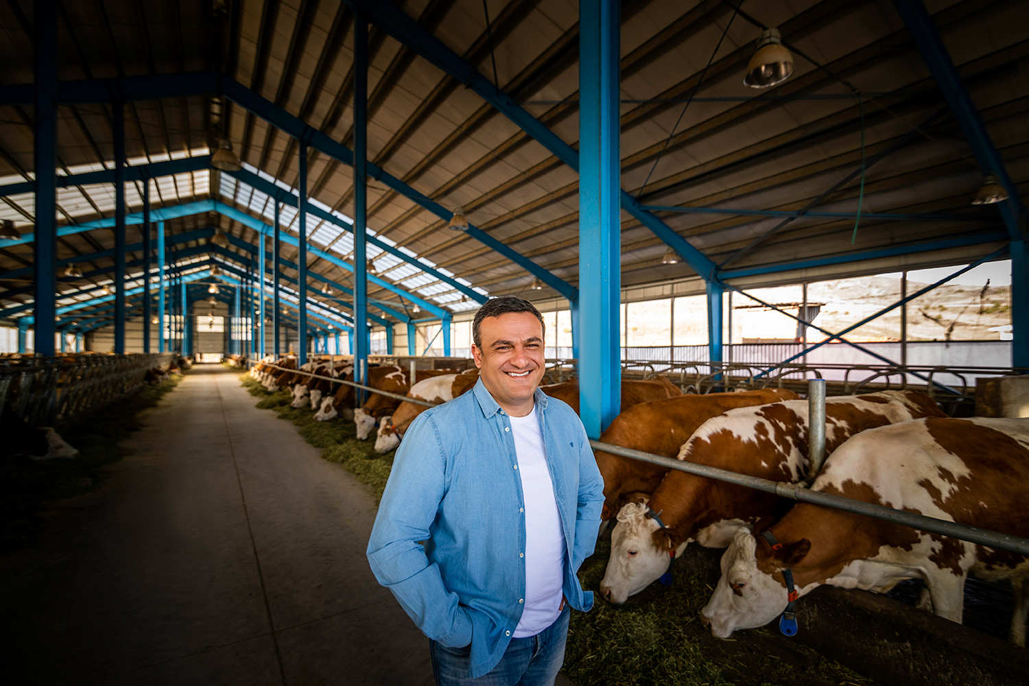 «Yeremyan Products». կաթ եւ կաթնամթերք՝ «Yeremyan Projects»-ից