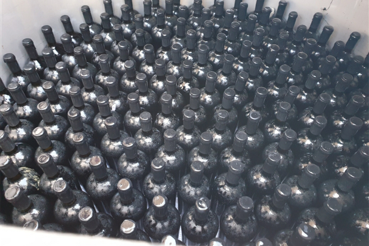 «Հալդե» գինին մեկ տարի հնեցվել է Արագած լեռան Քարի լճի հատակում