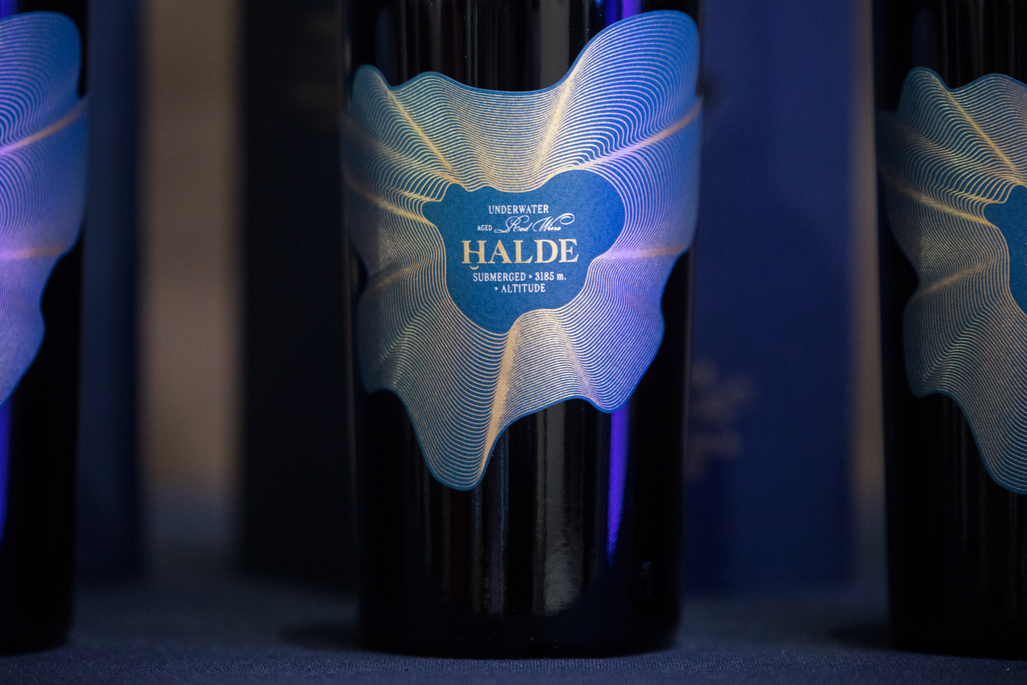 Ստորջրյա հնեցման Halde գինին ներկայացվել է «Էրեբունի» թանգարանում