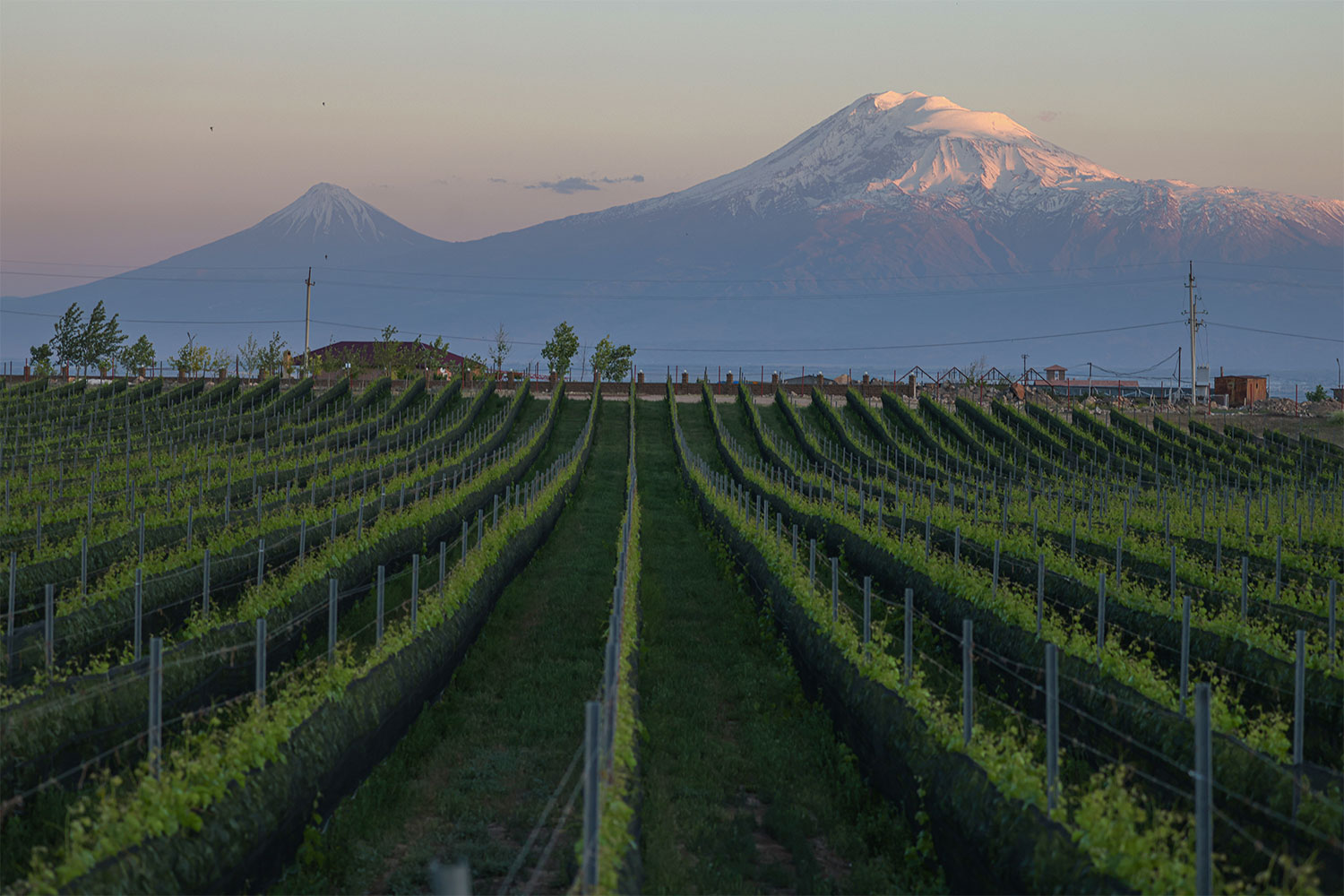 "Armenia Wine" will present the unique "V&M" brandy for the first time at the Opera House