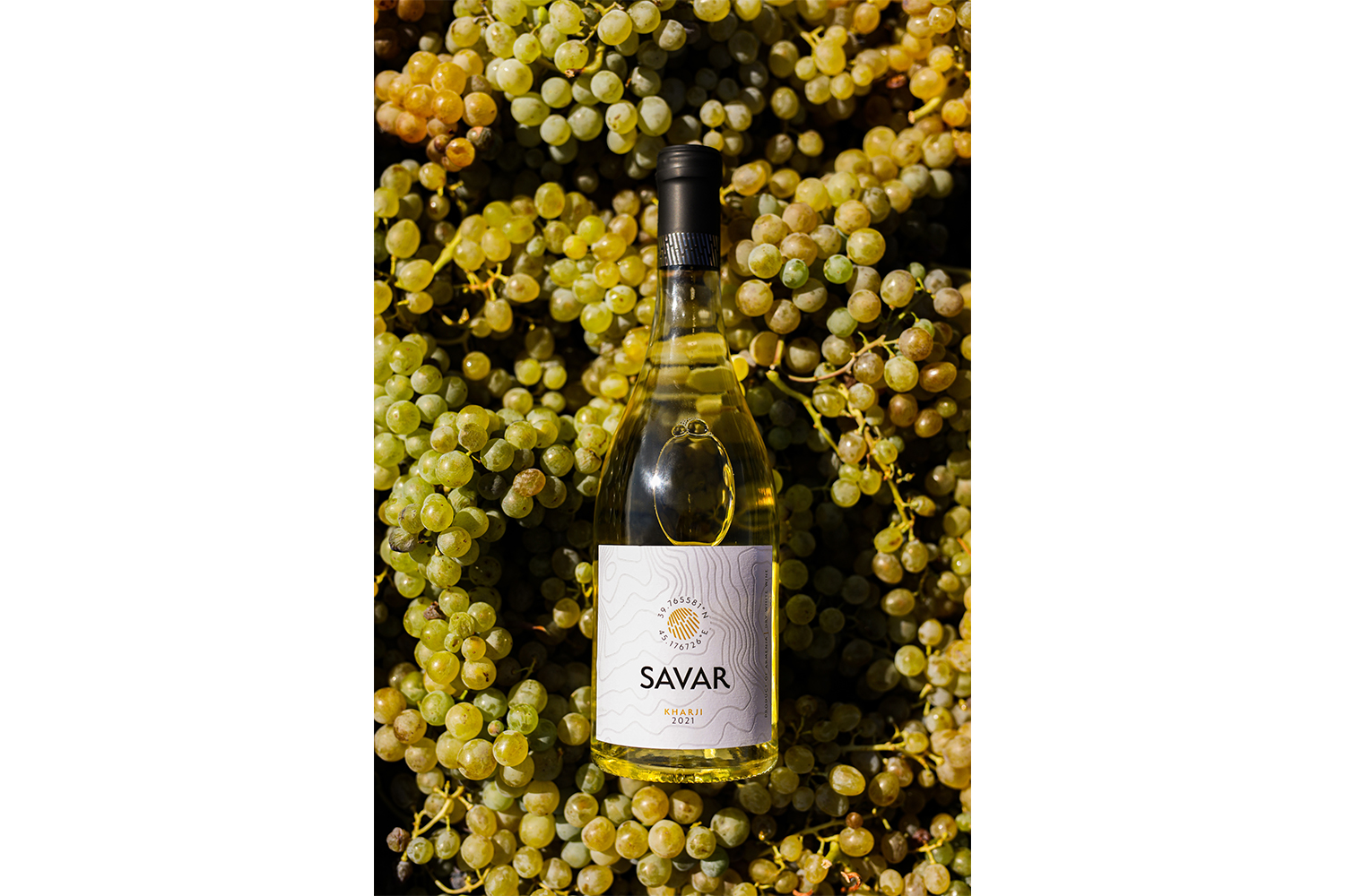 SAVAR-ը կներկայացնի առաջին հնեցված գինին Խաթուն Խարջի խաղողի տեսակից
