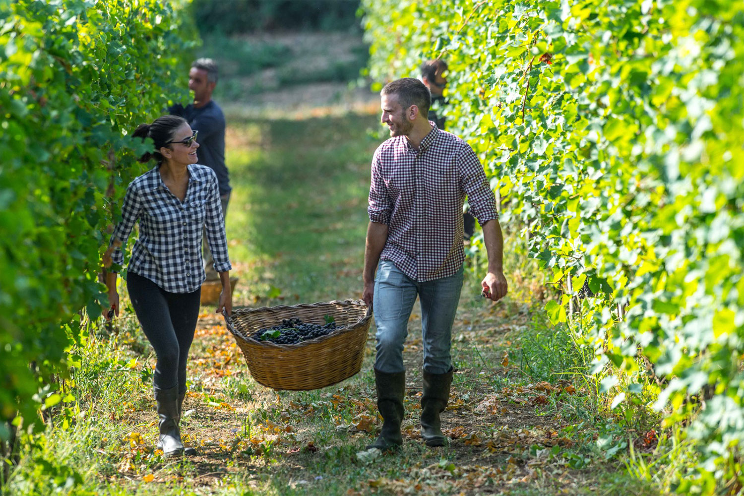 Fantini ընտանիքի պատմությունն ու գինիները՝ Vino&Vino-ում