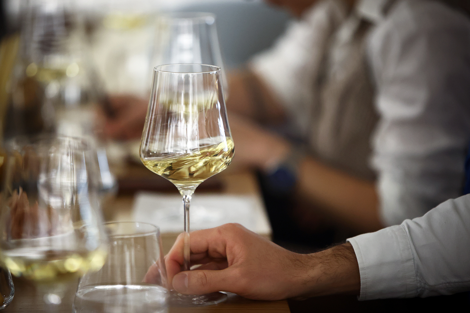 Պատմություն, ինքնություն եւ գինի. MOONQ-ի նոր գինիների համտեսը