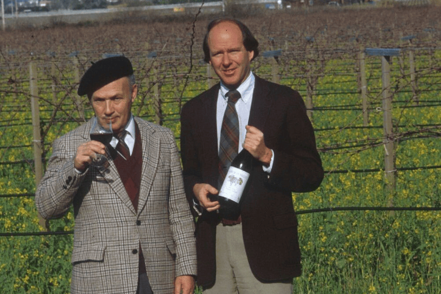 Գինեգործարան, որը փոխեց գինու պատմությունը. Grgich Hills Estate-ը՝ In Vino-ում