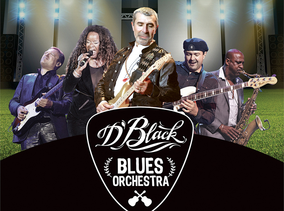 Black orchestra. D'Black Blues Orchestra. Группа d Black Blues Orchestra. Ди Блэк блюз оркестра Самара.