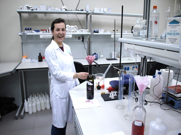 Հայաստանում գինեգործ դառնալու տարբերակները