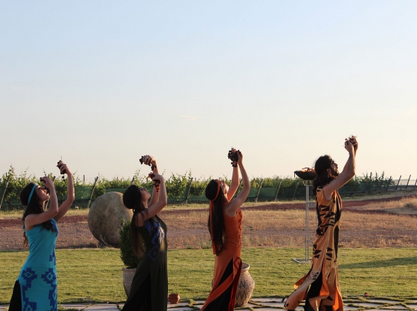 “The Soul of Wine” - a modern dance premiere at Van Ardi winery