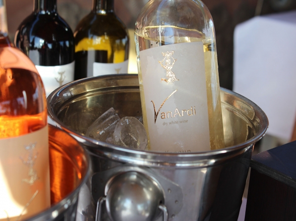 “The Soul of Wine” - a modern dance premiere at Van Ardi winery