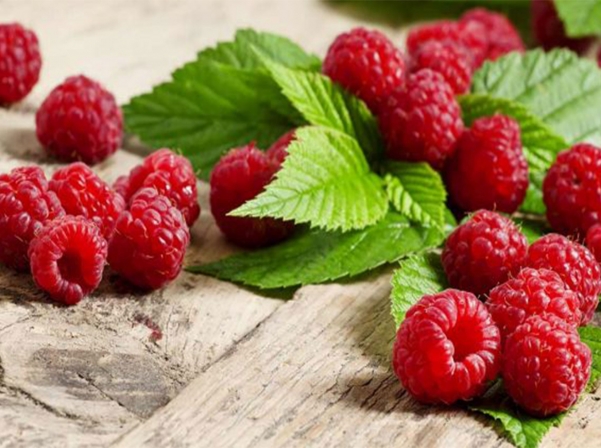 Թոփ 10 առողջ ուտելիքները 