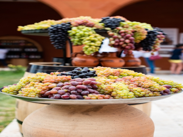 «Արմենիա Վայն» գինեգործարանում նշեցին Խաղողօրհնեքը