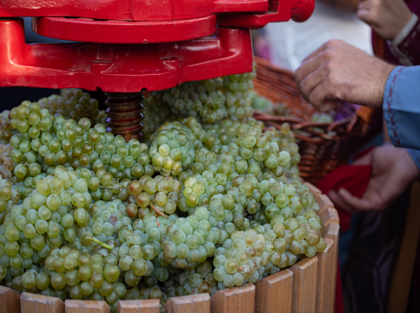 Աշտարակում նշեցին գինեգործների «Նոր տարին»