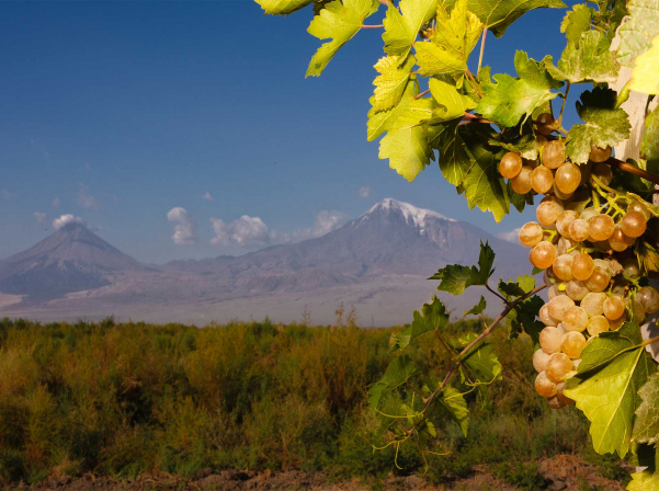 ARARAT կոնյակի ծնունդը