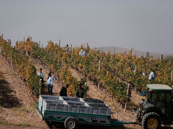 Փաշինյանն այցելել է «Տիեռաս դե Արմենիա»