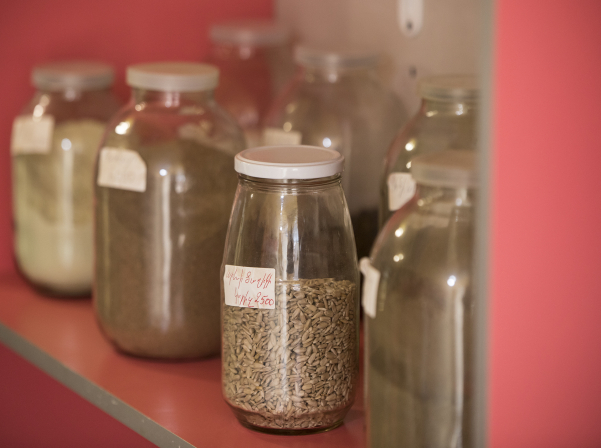 Տիկին Դալիթա. Թողնել &laquo;թագուհու կյանքը&raquo; ու ամեն ինչ սկսել զրոյից