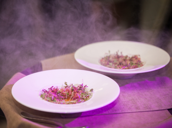 «Լիվինգսթոն». հեղինակային ուտեստներ՝ «թռչնի թեւերին»