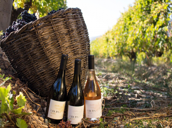 Նվերը, Նարինեն եւ ONEArmenia-ի օգնությամբ ստեղծված «Մոմիկ»-ը