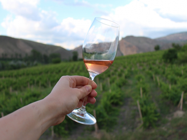 Նվերը, Նարինեն եւ ONEArmenia-ի օգնությամբ ստեղծված «Մոմիկ»-ը