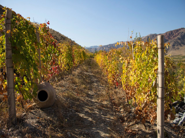 Նվերը, Նարինեն եւ ONEArmenia-ի օգնությամբ ստեղծված «Մոմիկ»-ը