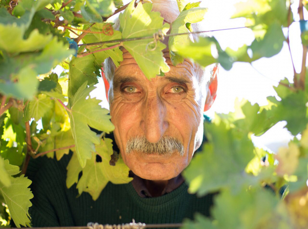 Նվերը, Նարինեն եւ ONEArmenia-ի օգնությամբ ստեղծված «Մոմիկ»-ը