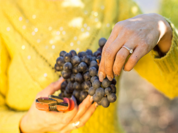 Նվերը, Նարինեն եւ ONEArmenia-ի օգնությամբ ստեղծված «Մոմիկ»-ը