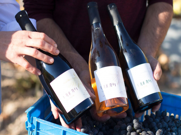 Նվերը, Նարինեն եւ ONEArmenia-ի օգնությամբ ստեղծված «Մոմիկ»-ը