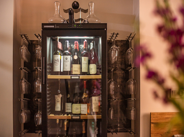 Ժիրայր Ավանյանի՝ «Դոլմամայի» «անտիպոդ» «ՍՖ Բիստրոն»