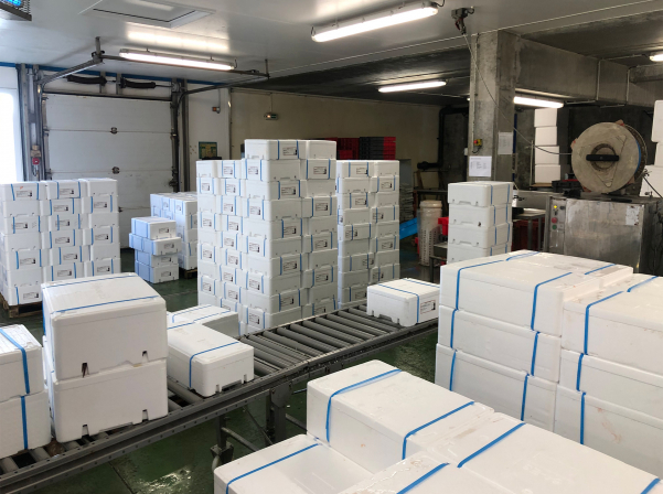 Բրետանի ափից՝ Երեւանի կենտրոն 