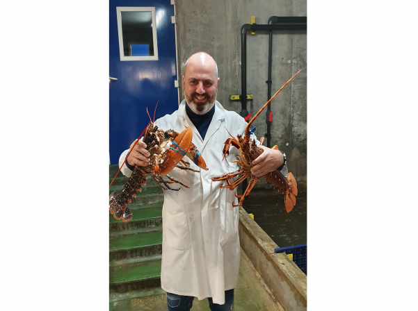 Բրետանի ափից՝ Երեւանի կենտրոն 