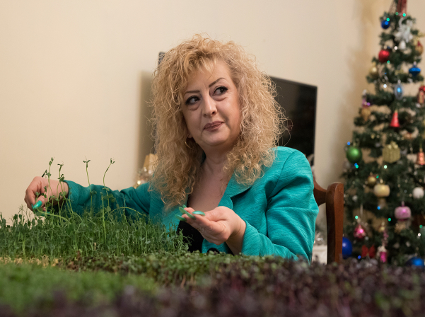 Միկրոկանաչիներ՝ ինժեներ Անահիտի «մանրադիտակով» անցած 