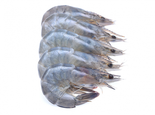 Fresh seafood by Food Republic’s online store 