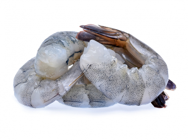 Fresh seafood by Food Republic’s online store 