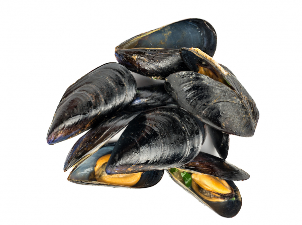 Fresh seafood by Food Republic’s online store 