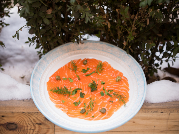 10-ից ավելի նոր ուտեստ Wine Republic-ի ճաշացանկում