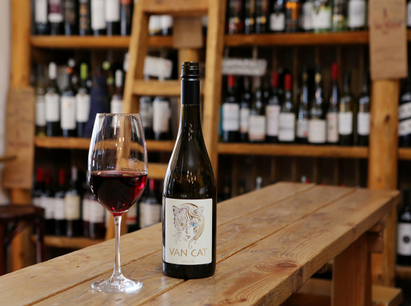 Արեգ Խոջոյանի Van Cat-ն ու գինի ստեղծելու ազատությունը