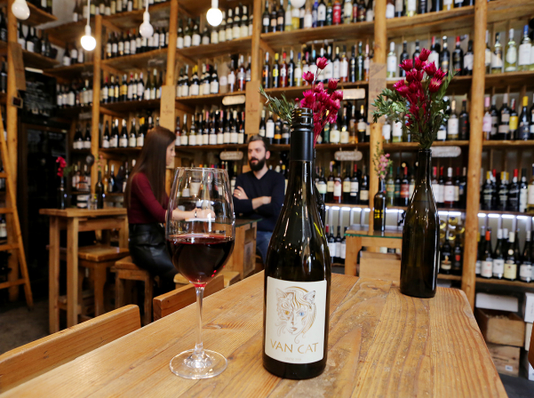 Արեգ Խոջոյանի Van Cat-ն ու գինի ստեղծելու ազատությունը