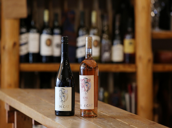 Արեգ Խոջոյանի Van Cat-ն ու գինի ստեղծելու ազատությունը