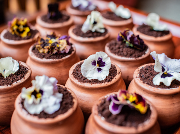 «MBG Hospitality»-ի #ԳԱՌուն արշավի ընդլայնված մեկնարկը