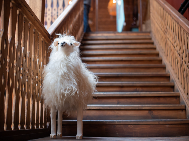 «MBG Hospitality»-ի #ԳԱՌուն արշավի ընդլայնված մեկնարկը