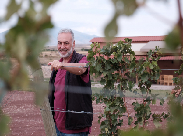 Վան Արդին «արտակարգ պայմաններում» կներկայացնի Թոր Թորի գինիները 