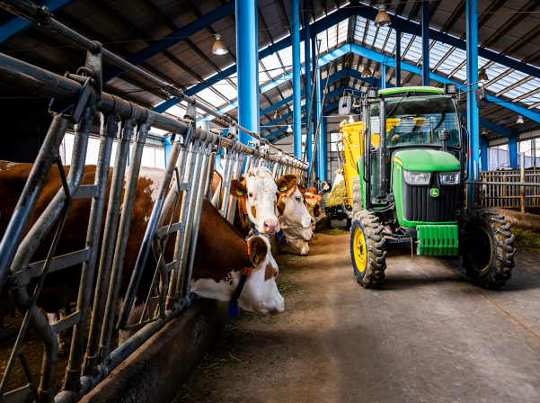 «Yeremyan Products». կաթ եւ կաթնամթերք՝ «Yeremyan Projects»-ից