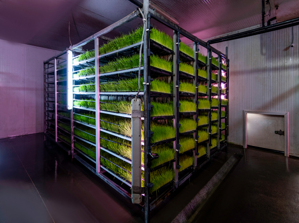 «Yeremyan Products». կաթ եւ կաթնամթերք՝ «Yeremyan Projects»-ից