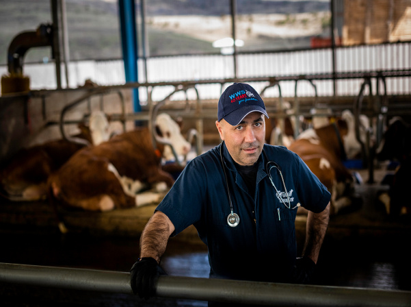 «Yeremyan Products». կաթ եւ կաթնամթերք՝ «Yeremyan Projects»-ից