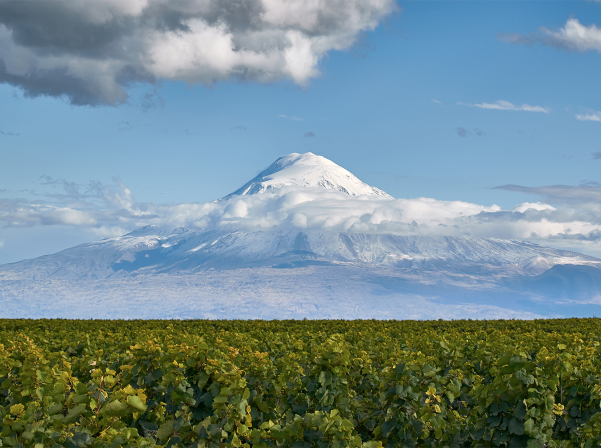 A Tale Of 2 Mountains շարքը համալրվել է երկու նոր գինով