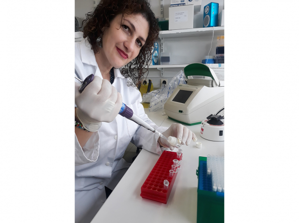 Հայ գիտնականը կբացահայտի հայկական խաղողի անկորիզ սորտերը