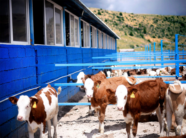 «Երեմյան Փրոջեքթս»-ը ներկայացրել է իր գյուղատնտեսական ծրագրերը 