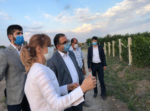 Նախարարն ու գինեգործները քննարկել են վարկավորման ծրագրերը