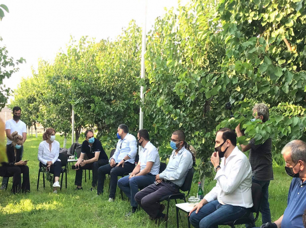 Նախարարն ու գինեգործները քննարկել են վարկավորման ծրագրերը