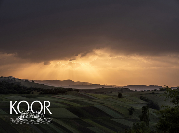 Ճամփորդություն գինու հետ. «Կուրը» բացահայտում է Հայաստանը 