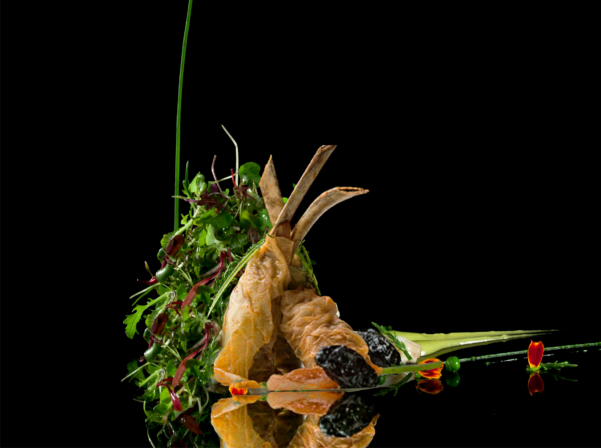 Գարեգին Օհանյանի «Սնվեք հայերեն»-ը ու գաստրոլաբի երազանքը