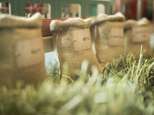 Yeremyan Projects-ը ներկայացրել է իր արտադրած բարձրորակ կաթնամթերքը